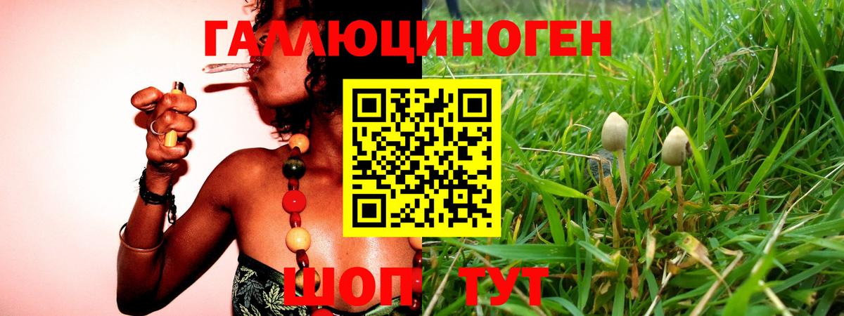 Заринск  Галлюциногенные грибы Magic Shrooms  Вход с VPN 